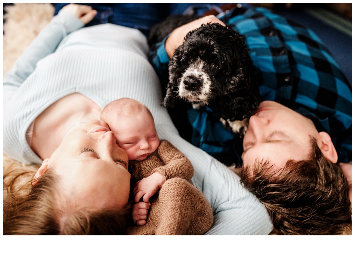 puppy and baby newborn session in Maryland