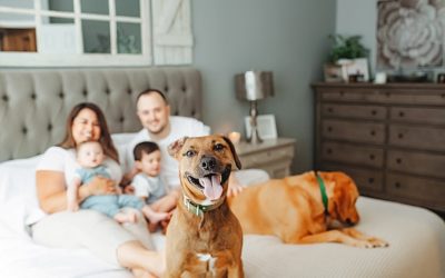 Newborn Photos with your Dog – Tips, Ideas, and Safety Practices Capturing Cherished Moments
