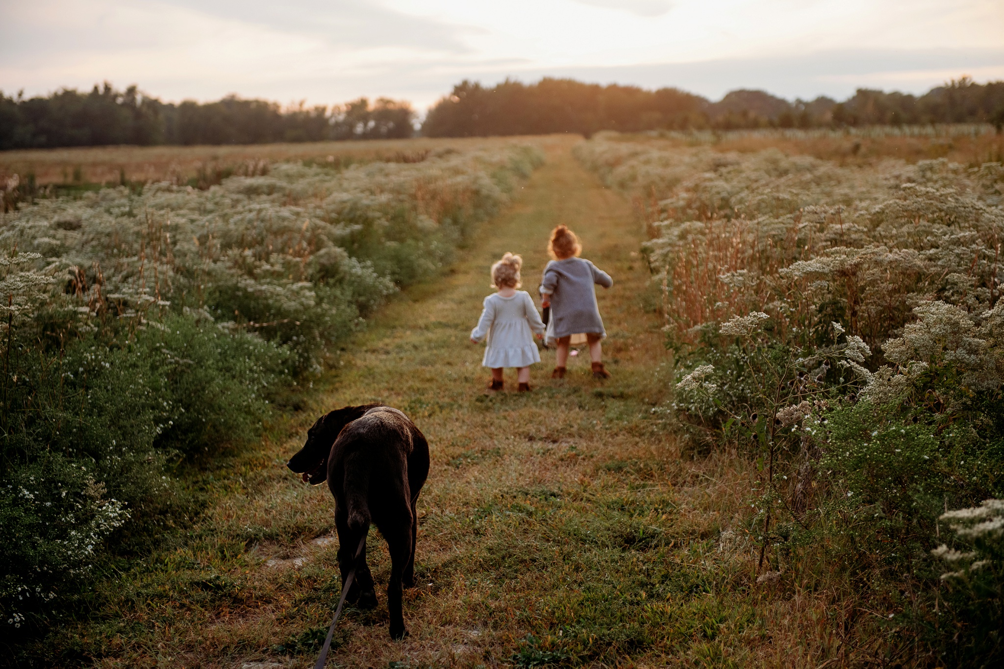 toddler sisters exploring a Kent Island field with dog