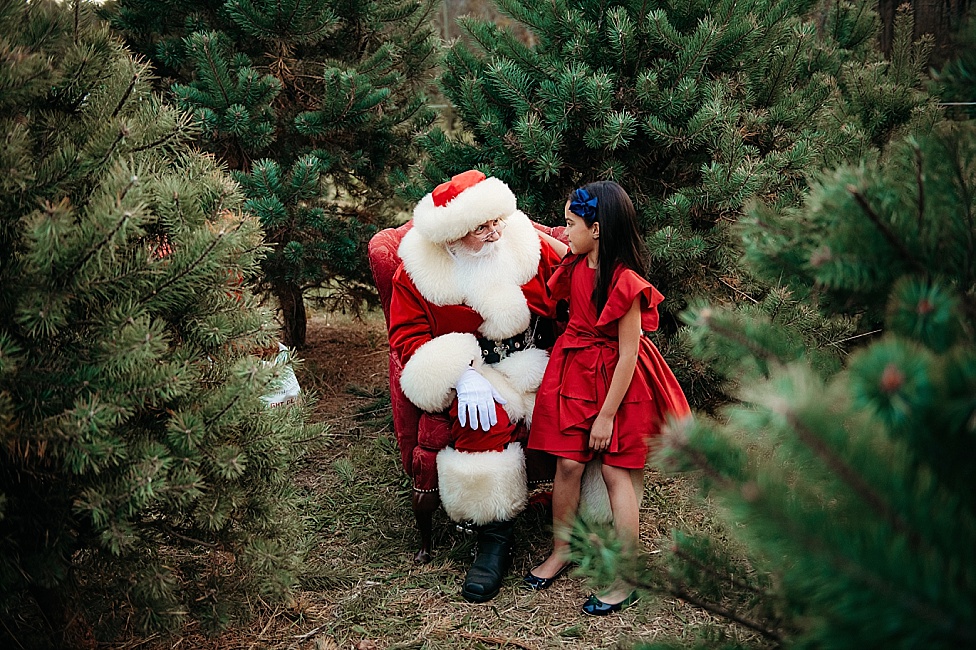 Annapolis Santa in tree farm with girl in red dress